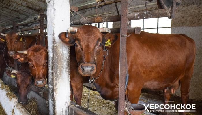 ���������� � �������� �������� 3,8 ���� ������ ��� �������� ��������� ���������