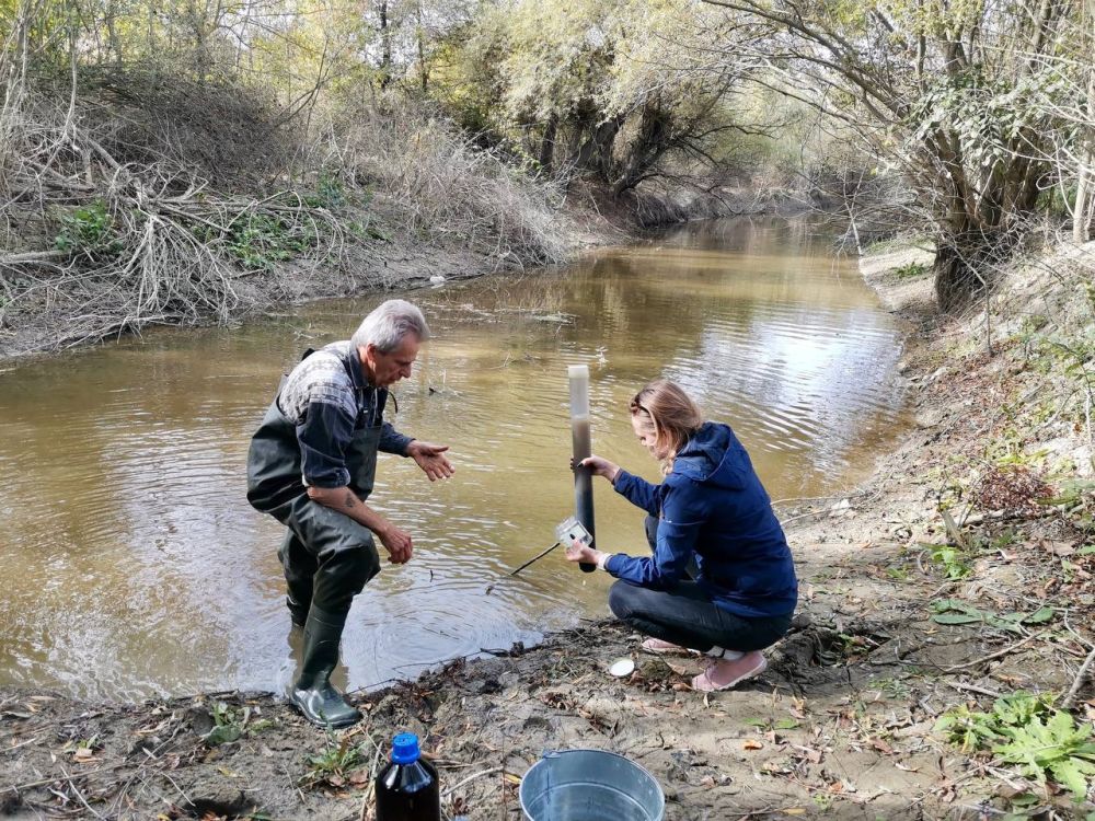 ������ ������ ���������� �������� ������� ���� �����