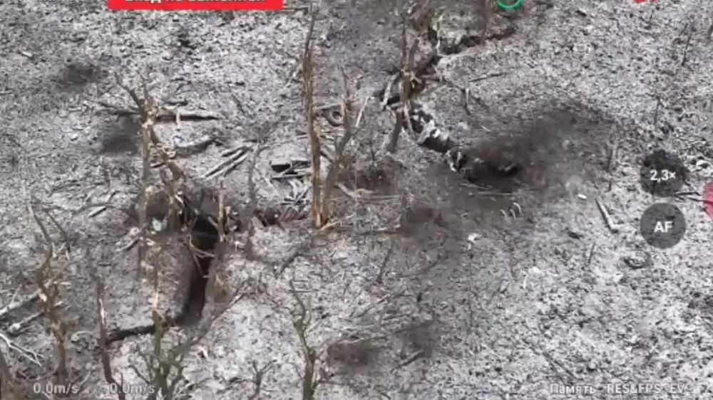 ������ ������ 255-��� ����� ����������� ������� ����� ���������� ��� ���������� fpv-������� ���������� ������������ ����������