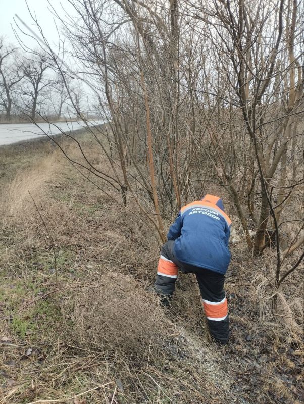 ��������������� ���������� �� ����������� ������ �������� �� ������ ���������� �������������� ������