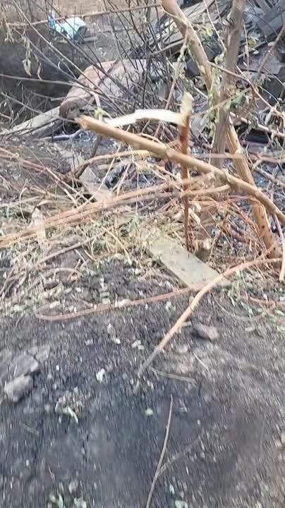 ������������ � ������ �.�. �������-��������� �� �������� ����������� ���������� ���� �-64��