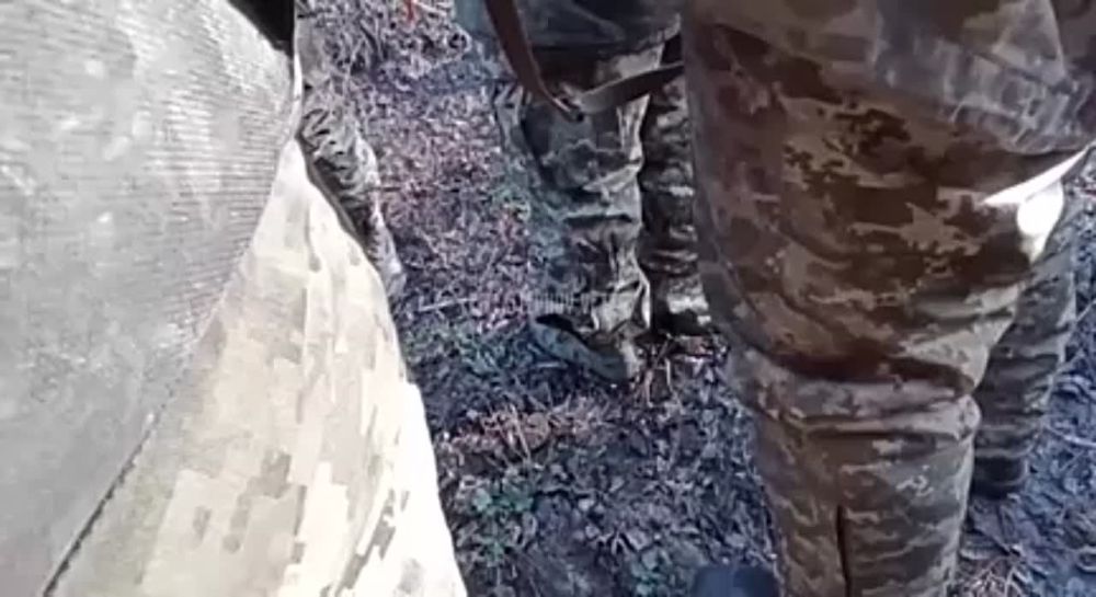 ������� �������� ���������� ��������� ��� ������, ������� �� ������ ������� �� �������, �� �� ������������� ������������ � ��������� �� �����, �� �������, ��� ��� ���*** ������� �� ��������