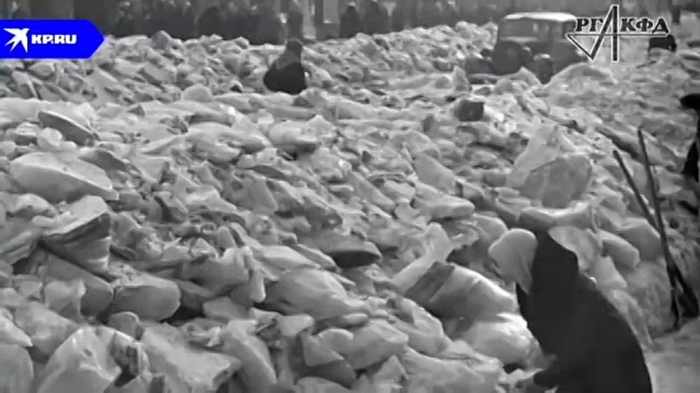 ����� ���������� ����������: �������� �����