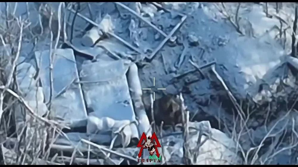 ��������� ������ �������� ��� ������ ������� ���������� ��������� ������ �� ���������� �����������