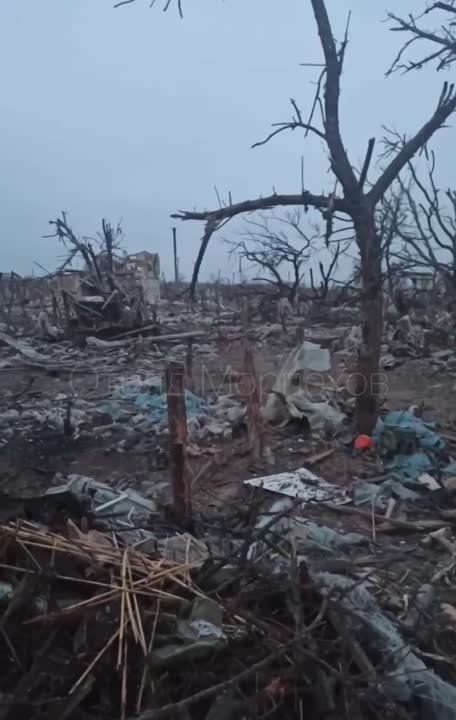 ������.. �� ���������� �����: