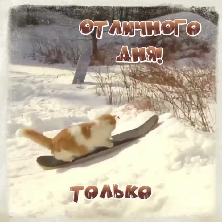 � ������ �����, �����������!