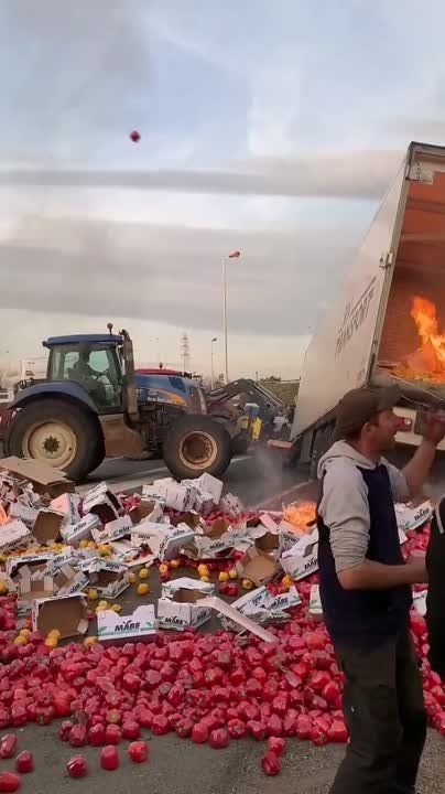 � �� ������� ������� ���� ������!