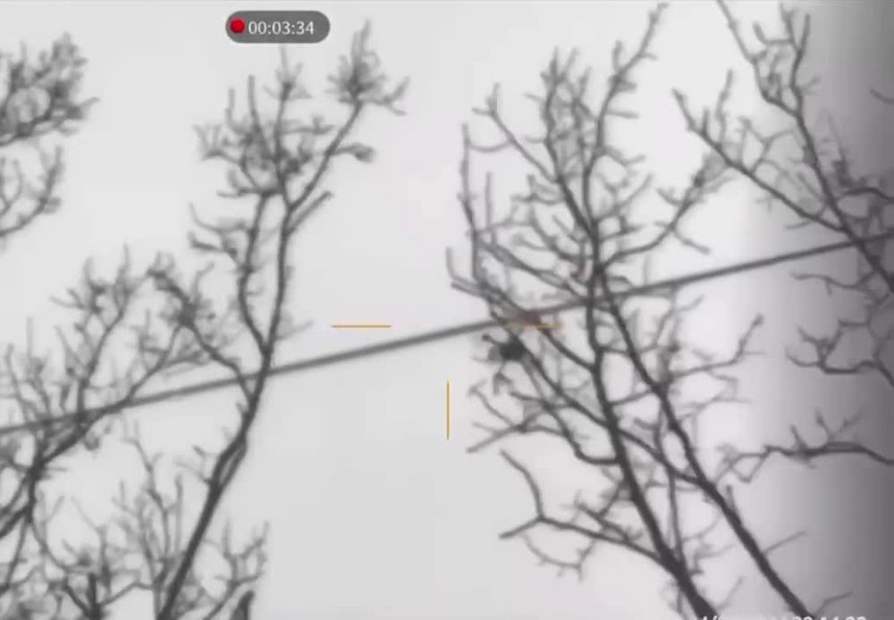 ����������� ����������� ����� �����-���