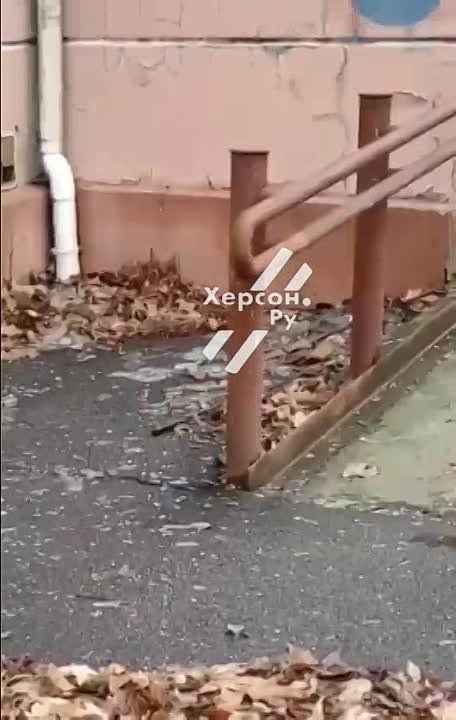 ������ 28.01.2024. ��������� �� ������.��