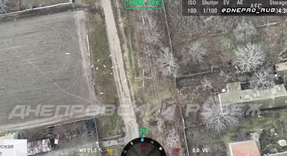 ����� �����: ����������� ����� "�����". ���������� �����������