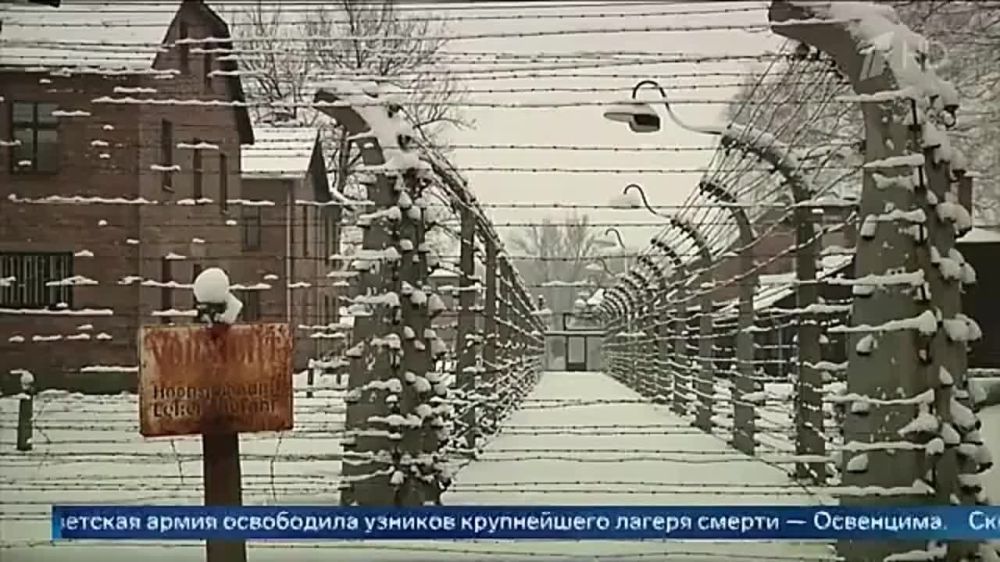 ������� ���������� ������������� ���� ������ ����� ���������