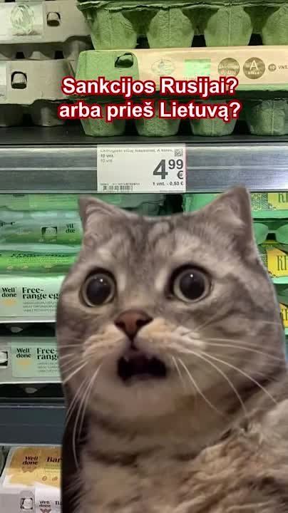 "������� ������ ������? ��� ������ �����?"