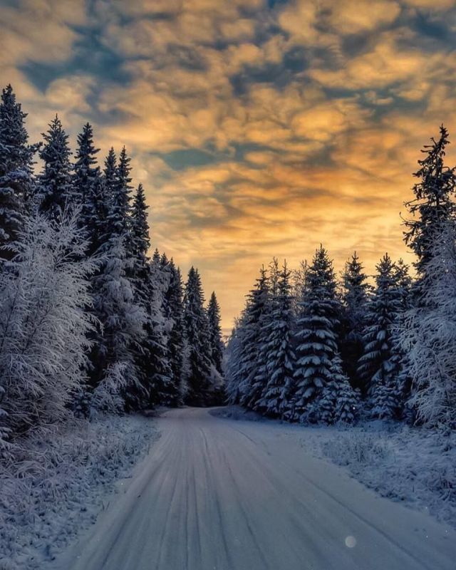 ������ ����. ������� � ������� �������� ������ ����������� ���� ����. ������ ����� �� ������ �������� ��� �� ��������, �� � �������� ��� ������ ������������. ����������� �� -1 ����� �� +3 ����