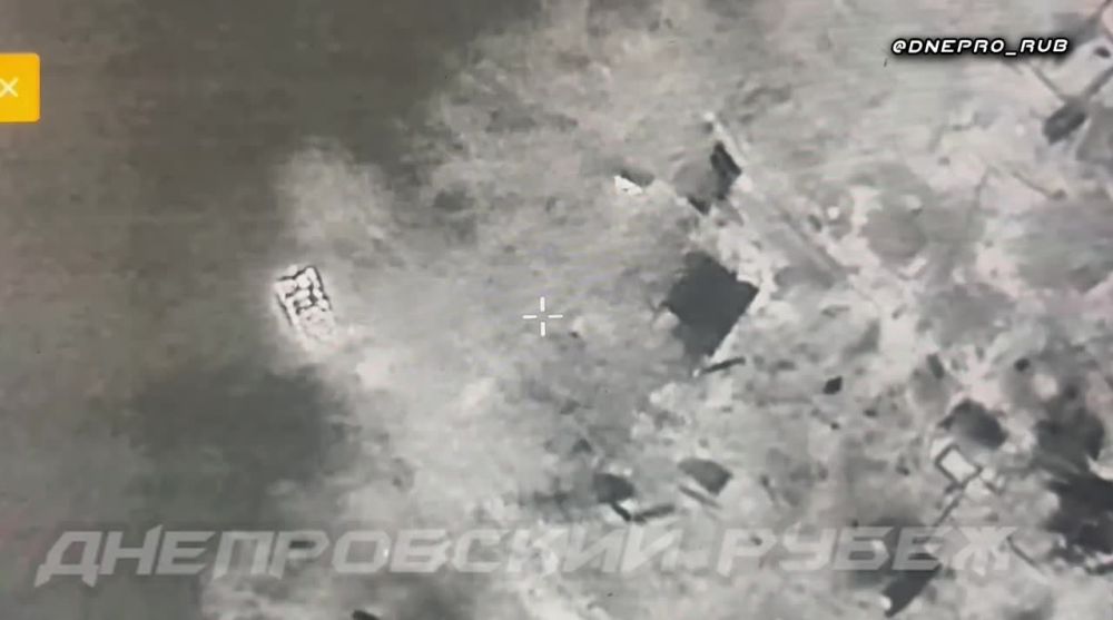 ����������� ����� "�����". ���������� �����������