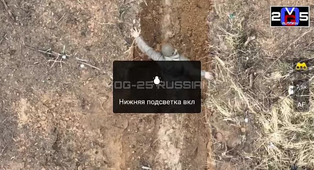 ���� ���� ������ ���� ����� ������ ������ �����