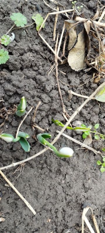 ���������� ����� �������, ��� �� ����� � ����������� ��� ���-��� ���������