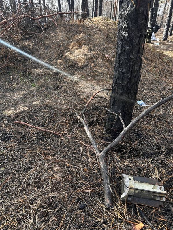 ��� ����� ������� �� ������