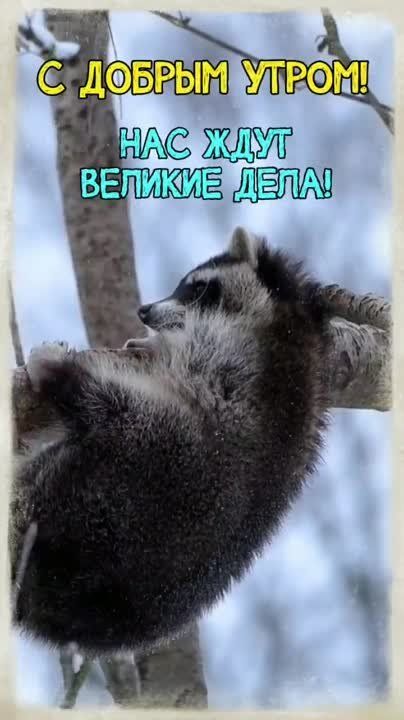 � ������ �����, �����������!