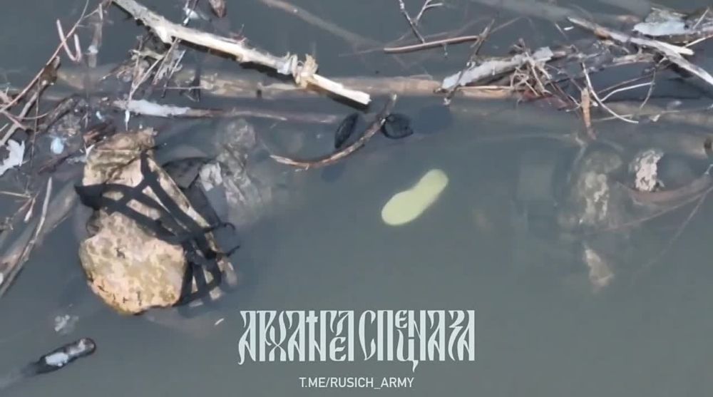 ���������� �����������