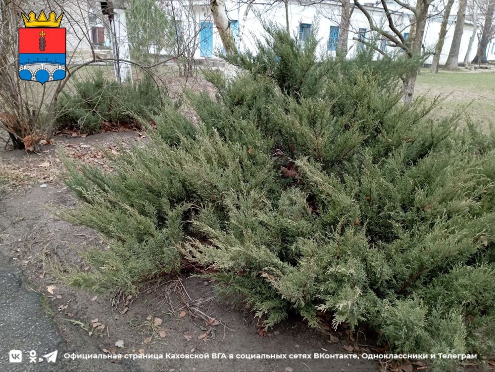 ������ ����, �������!. @VGA_Kakhovka