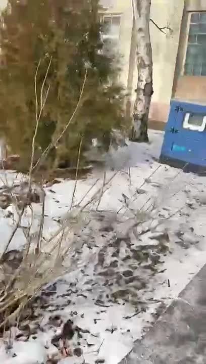 ����������� ������ � ��� ������ ���������� � ���� ����������������� ����� � ������������