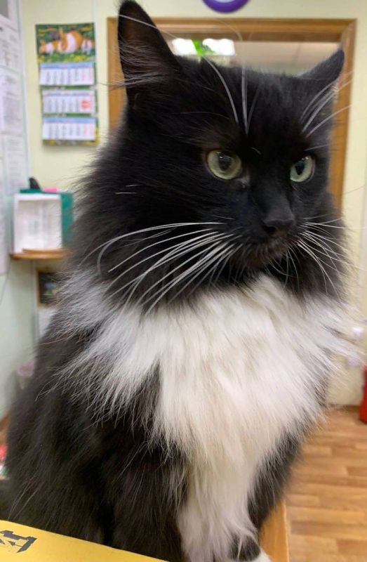 ���� ������� �� ���������� � ��������