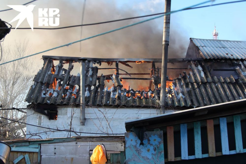 ����� �� ����������� ������� ��������� � ��������� ���� 29 ������