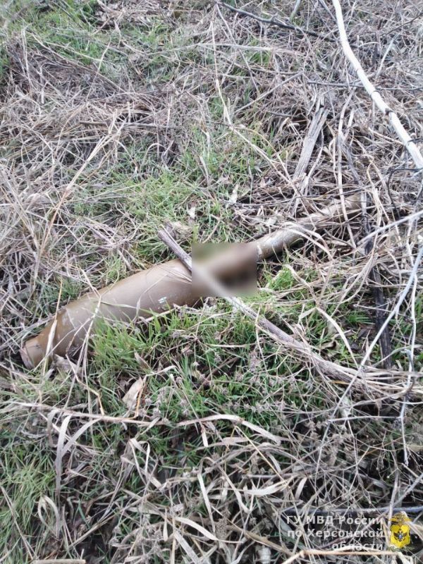 � ���������� ������� ��������������� ����������� �������������� ������, ������������ ������� �����������