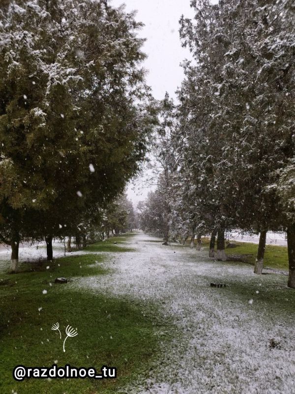 � ������ �����!. ������ ��� ���������, ���������������, ����������� ����!