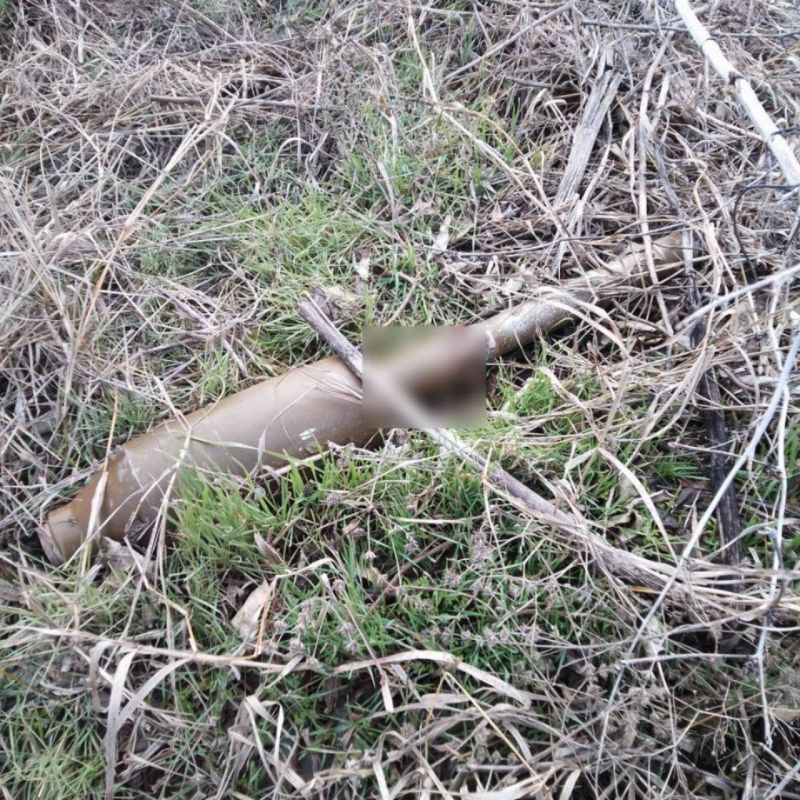 ���������� ����������� ������ ����� �������������� ������ � ��������� ����������� �������