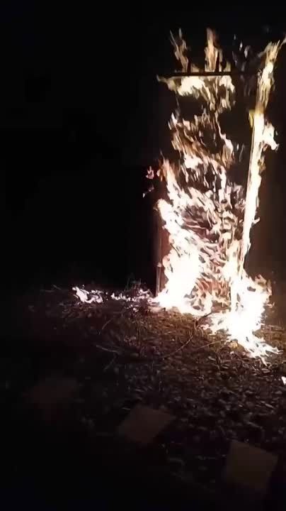 ����������� ��������� ����������� �������� �������� ����������