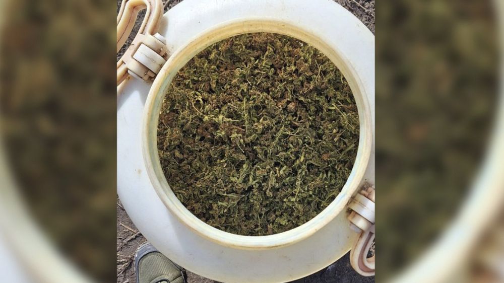 � ����������� ������ ����������� ������ � �������� ������ ����� 4 �� �������� � ����������� ������� ���������