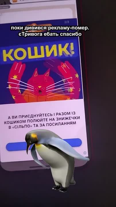 "���� ������� ������� � ����"