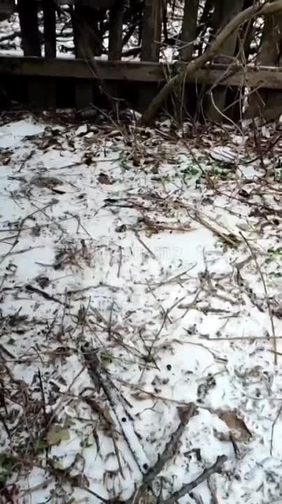 ����������� ������� ������