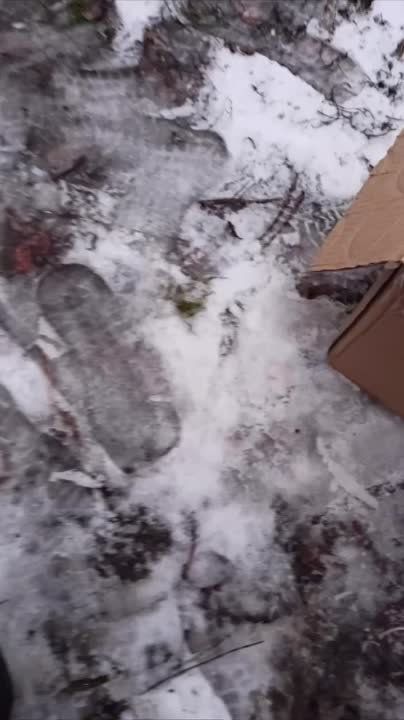 ��������� ������ ���������� ����� ��� �������