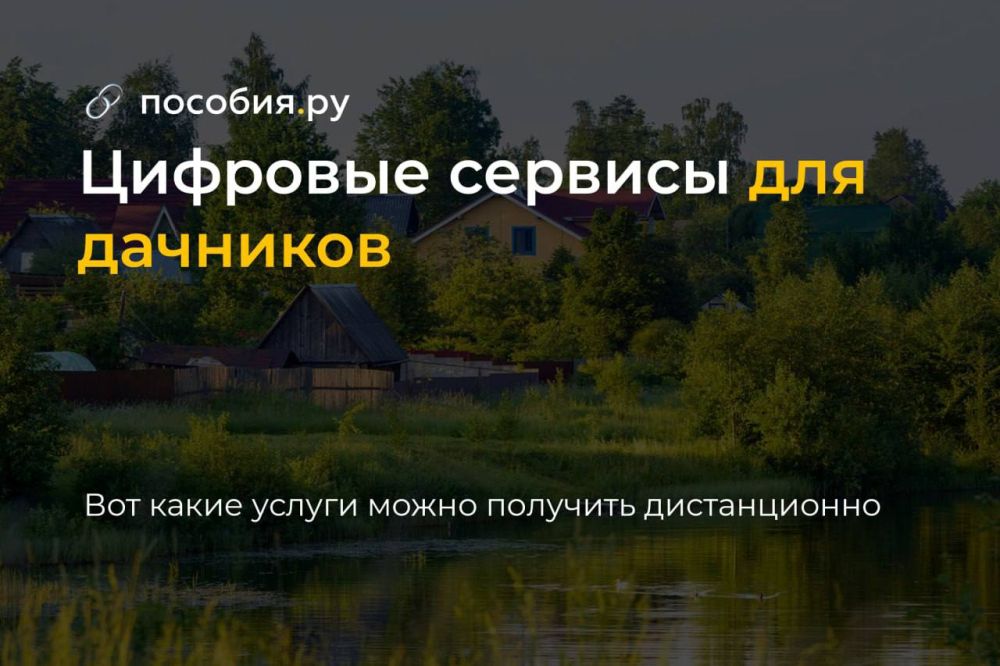 �������� ������� ��� ��������: ����� ������ ����� �������� ������������