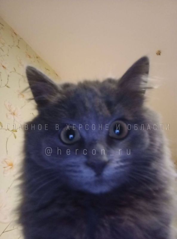 � ����� ������� ��? � ������� �������� � ������� � ������� ��������� ����� �������� �� ������ �����������