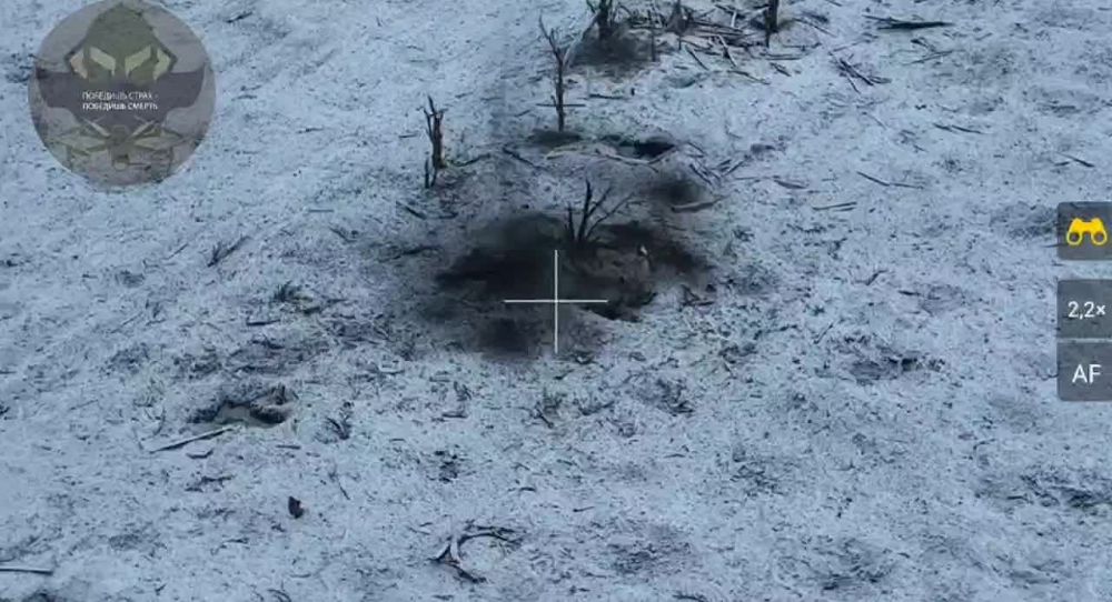 ����������� �����������