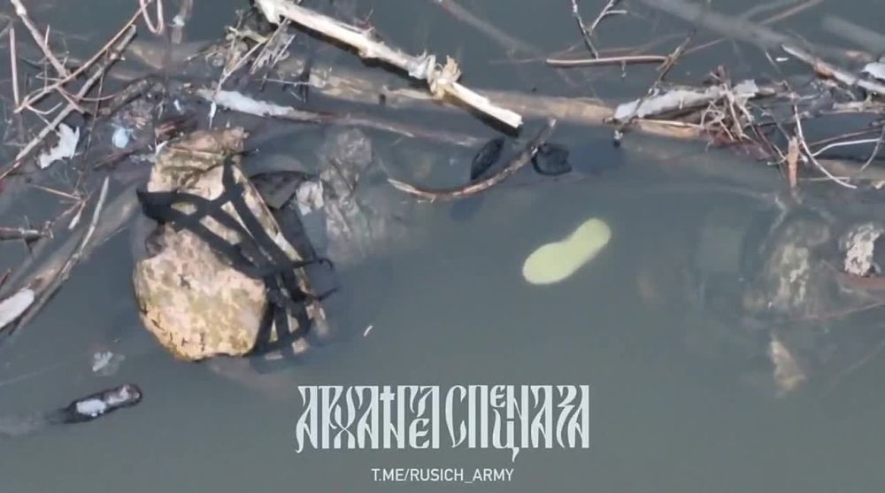 ������� ��� ������� ������������ ����� ������� � ���������� �������