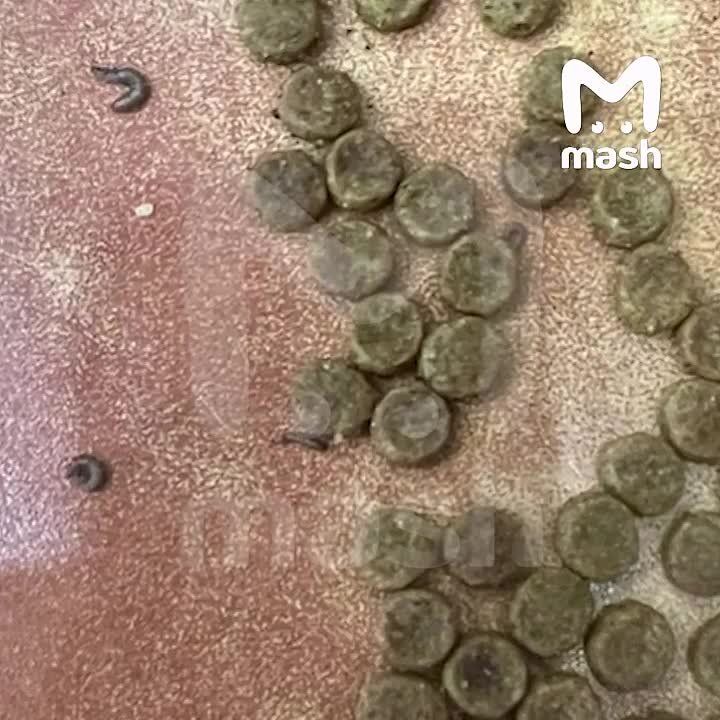 ���� ��� �������� Hill's, ������������ � �������, ����� ��������� � ����� �� ���������� ������ ��-�� ������