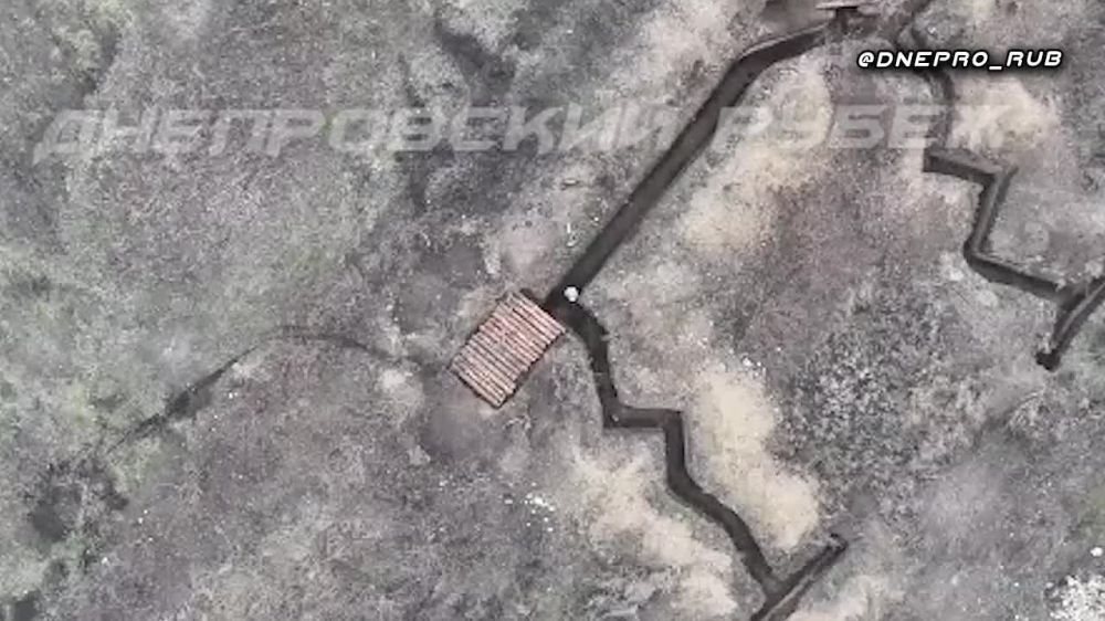 ����������� ����� "�����". ���������� �����������