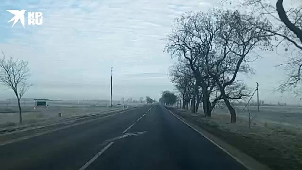 ������ ���� � �������� ���������