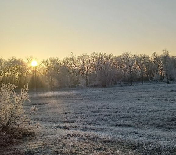 ������� ����: ���������� ��������� ���� � ���������� ��