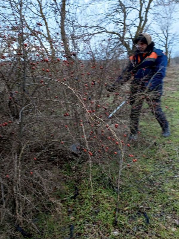 ���� ����� ������������� ������ ������ � ������� ������������� ������