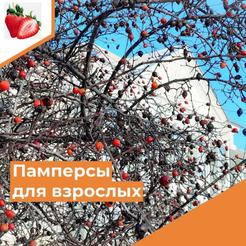 �������� ������� �����������!