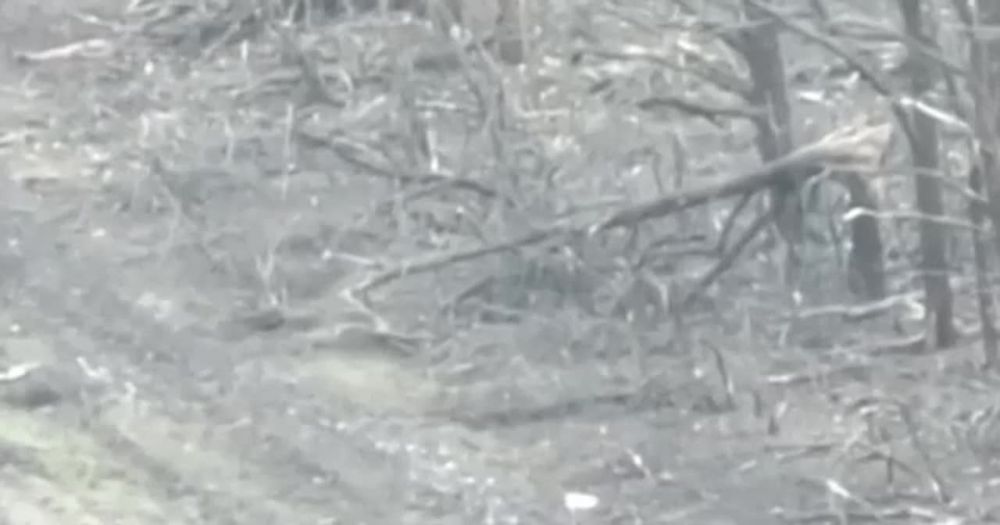 ���������� ������� ������� ������ �������� � ���� ���� ����������