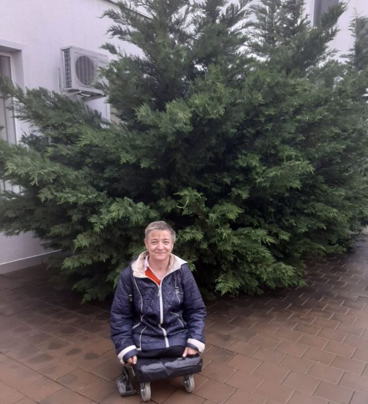 ������ ������: ������� �� ��� ������� � ����������