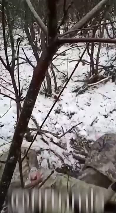 ����� ��������, ����� ������������� ��� ��������� ���� �������������, ������������ ��������������, �������������� ������� �� ����� ����������