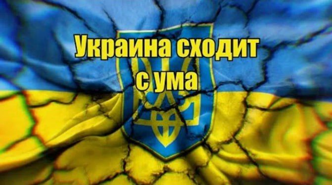 ��������� ����: ������� ����������������