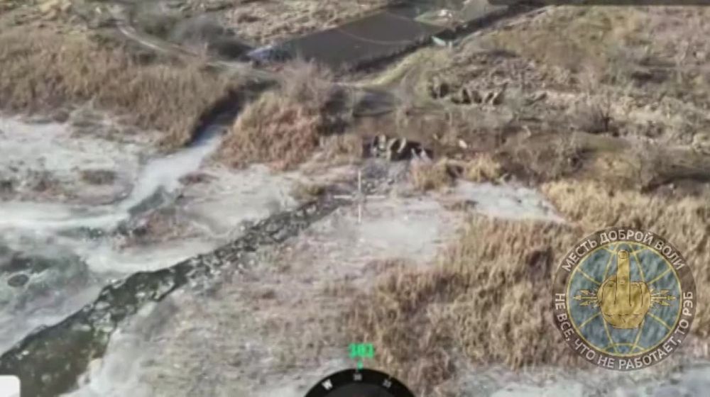 ��� ������: ���������� �����������. �� ������ ����� ������ ���� �������� ����� ��� ��� ������ ������ ��������� ����